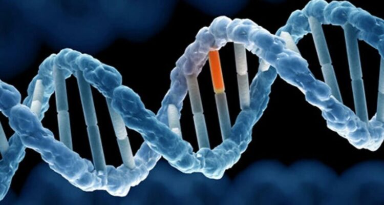 Đột biến gen là gì? Nguyên nhân và hệ quả khôn lường của đột biến gen
