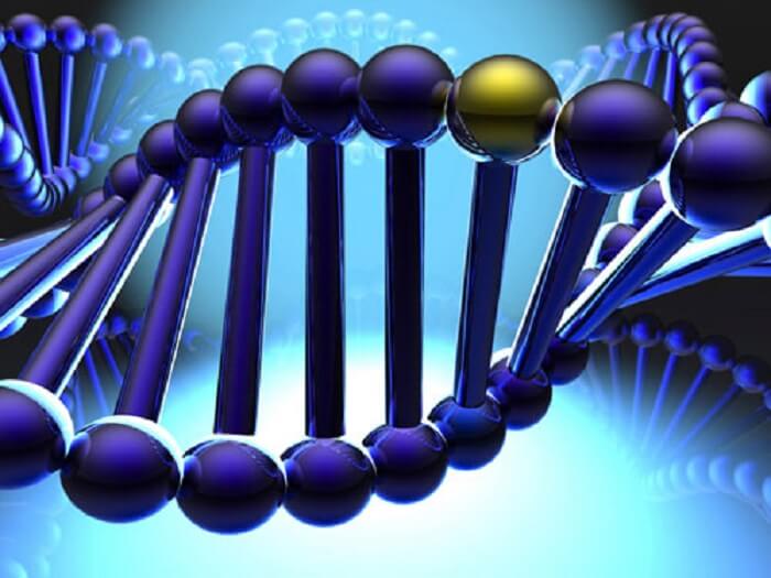 Đột biến gen là những biến đổi nhỏ xảy ra trong cấu trúc của gen