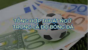 Các thuật ngữ tiếng anh cần nhớ khi soi kèo để đạt hiệu quả cao.